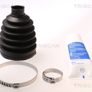 Ansamblu burduf articulatie planetara CITROEN C3 II (SC_) 1.1 i benzina 60 cai TRISCAN 8540 25820