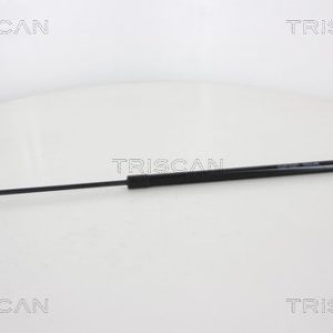 Amortizor portbagaj CITROEN NEMO Autoutilitara/limuzina spatioasa (AA_) 1.4 HDi diesel 68 cai TRISCAN 8710 10212