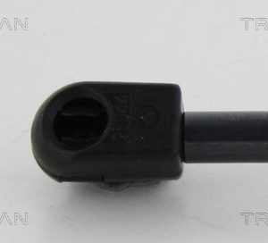 Amortizor portbagaj CITROEN BERLINGO (ER_, EC_) 1.5 BlueHDi 100 diesel 102 cai TRISCAN 8710 10213