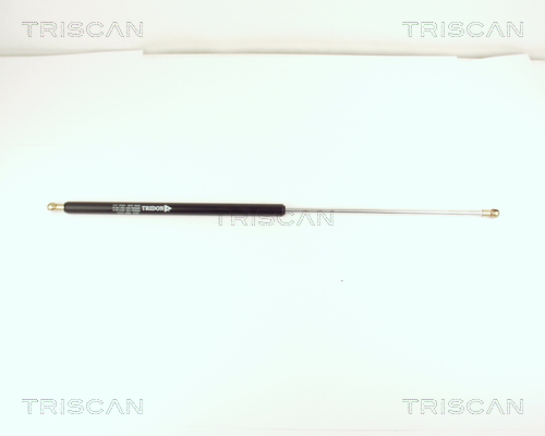 Amortizor portbagaj CITROEN EVASION Van (U6_, AF_) DT (U6UC) diesel 92 cai TRISCAN 8710 15210