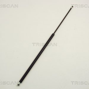 Amortizor portbagaj CITROEN BERLINGO / BERLINGO FIRST microbus (MF_, GJK_, GFK_) 1.6 HDI 75 (MF9HW, GJ9HWC, GF9HWC, GN9HWC) diesel 75 cai TRISCAN 8710 28216