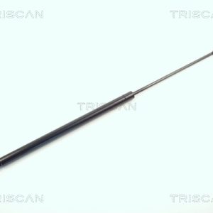 Amortizor portbagaj CITROEN CX I (MA) 2400 benzina 116 cai TRISCAN 8710 3806