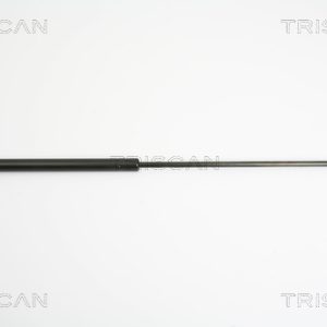 Amortizor portbagaj CITROEN C4 cupe (LA_) 1.6 HDi diesel 109 cai TRISCAN 8710 38221