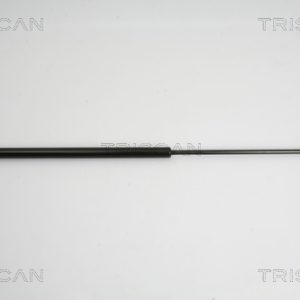 Amortizor portbagaj CITROEN C4 PICASSO I microbus (UD_) 2.0 HDi 138 diesel 136 cai TRISCAN 8710 38222