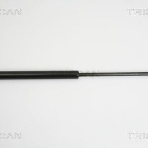 Amortizor portbagaj CITROEN C5 II (RC_) 3.0 V6 (RCXFUF) benzina 207 cai TRISCAN 8710 38225