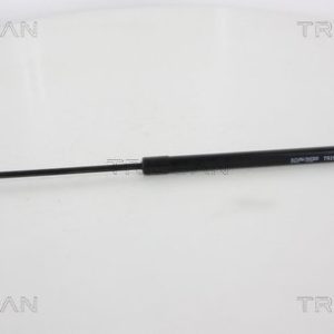 Amortizor portbagaj CITROEN C5 III Break (RW_) 2.0 HDi 140 diesel 140 cai TRISCAN 8710 38227