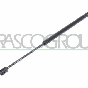 Amortizor portbagaj CITROEN C3 I (FC_, FN_) 1.6 16V HDi diesel 109 cai PRASCO CI3209055