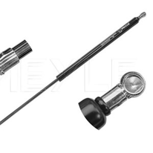 Amortizor portbagaj CITROEN C4 cupe (LA_) 1.6 HDi diesel 109 cai MEYLE 40-40 910 0018