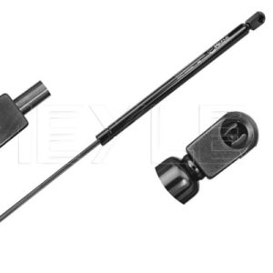 Amortizor portbagaj CITROEN C4 cupe (LA_) 2.0 HDi diesel 136 cai MEYLE 40-40 910 0020