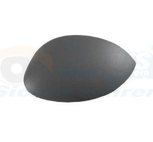 Acoperire oglinda exterioara CITROEN XSARA PICASSO (N68) 1.6 16V LPG Benzina/Autogaz (GPL) 109 cai VAN WEZEL 4028842