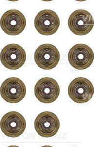 Set garnituri ax supape VICTOR REINZ 12-37621-01 – CITROEN | AutoRival