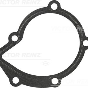 Garnitura pompa de apa VICTOR REINZ 70-25920-30 – CITROEN | AutoRival