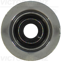 Etansare supape VICTOR REINZ 70-35549-00 – CITROEN | AutoRival