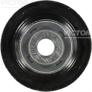 Etansare supape VICTOR REINZ 70-54093-00 – CITROEN | AutoRival