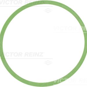 Garnitura galerie admisie VICTOR REINZ 71-34449-00 – CITROEN | AutoRival