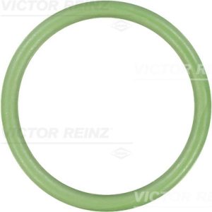 Garnitura galerie admisie VICTOR REINZ 71-35248-00 – CITROEN | AutoRival