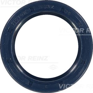 Simering ax cu came VICTOR REINZ 81-26244-00 – CITROEN | AutoRival