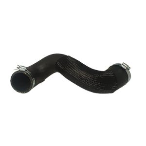 Furtun aer supraalimentare BUGIAD 82272 – CITROEN | AutoRival