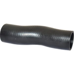 Furtun aer supraalimentare BUGIAD 88802 – CITROEN | AutoRival