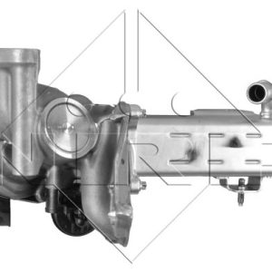 Supapa EGR NRF 48204