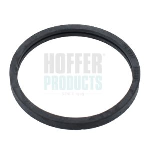 Garnitura termostat HOFFER 016102