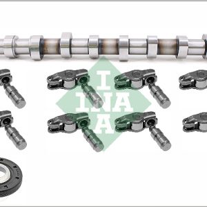 Set ax cu came INA 428 0056 30 – CITROEN | AutoRival