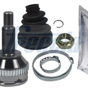 Ax cu came FRECCIA CM05-2109 – CITROEN | AutoRival