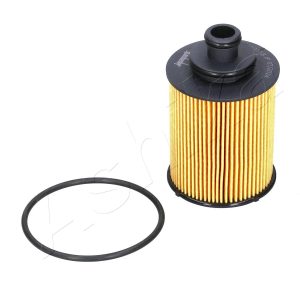 Filtru ulei ASHIKA 10-ECO065 – CITROEN | AutoRival