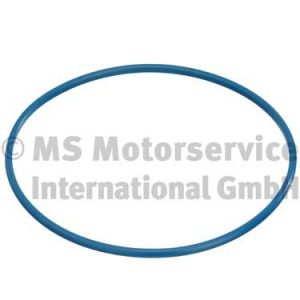 Garnitura de etansare capac rezervor de combustibil PIERBURG 3.32038.00.0 – CITROEN | AutoRival