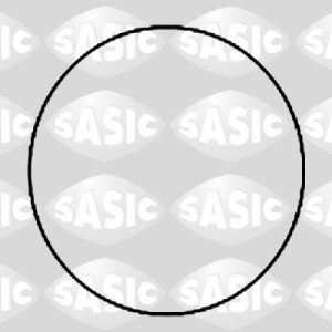 Set garnituri bucsa cilindru SASIC 1950007 – CITROEN | AutoRival