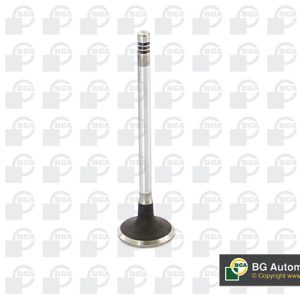 Supapa admisie BGA V149486 – CITROEN | AutoRival