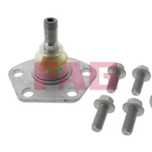 Pivot FAG 825 0190 10 – CITROEN | AutoRival