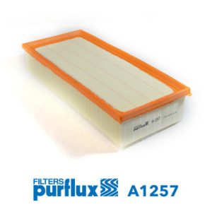 Filtru aer PURFLUX A1257 – CITROEN | AutoRival