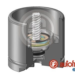 Piston etrier frana AUTOFREN SEINSA D025256RK – CITROEN | AutoRival