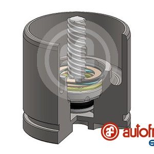 Piston etrier frana AUTOFREN SEINSA D025520LK – CITROEN | AutoRival