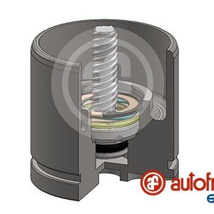 Piston etrier frana AUTOFREN SEINSA D025520RK – CITROEN | AutoRival