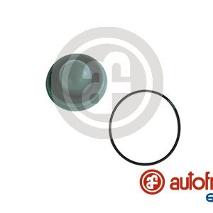 Set reparatie pompa centrala frana AUTOFREN SEINSA D1286 – CITROEN | AutoRival