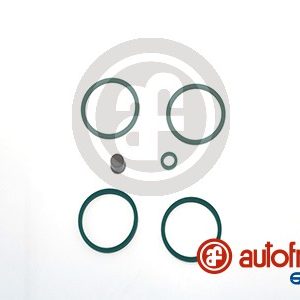 Set reparatie etrier AUTOFREN SEINSA D4131 – CITROEN | AutoRival