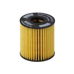Filtru ulei HENGST FILTER E44H D110 – CITROEN | AutoRival