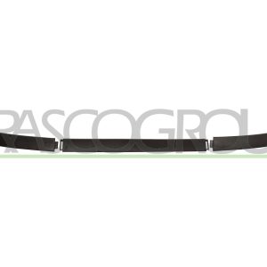 Spoiler PRASCO CI3221800 – CITROEN | AutoRival