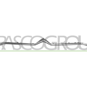 Banda de protectie grila radiator PRASCO CI3312216 – CITROEN | AutoRival