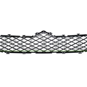 Grila radiator PRASCO CI9542011 – CITROEN | AutoRival