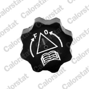 Buson vas expansiune CALORSTAT BY VERNET RC0029 – CITROEN | AutoRival