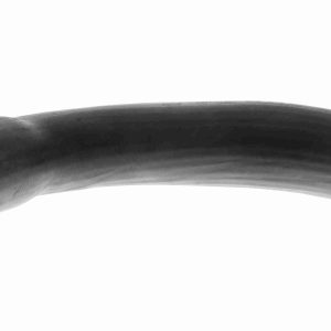 Furtun aer supraalimentare VAICO V42-0589 – CITROEN | AutoRival