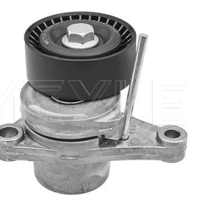Intinzator curea distributie MEYLE 11-14 903 1002