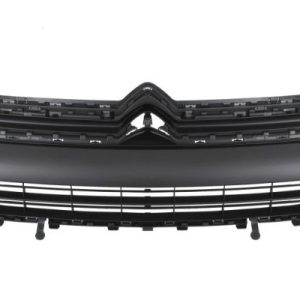 Grila radiator BLIC 6502-07-0554990Q