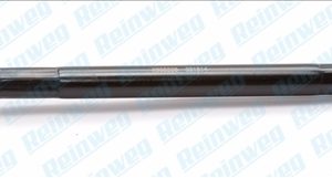 Bieleta directie REINWEG RW85208 – CITROEN | AutoRival