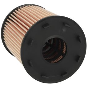 Filtru ulei MTR 12138316 – CITROEN | AutoRival