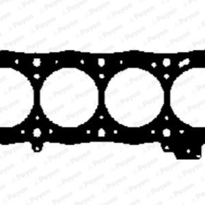 Garnitura chiulasa PAYEN AD5500 – CITROEN | AutoRival