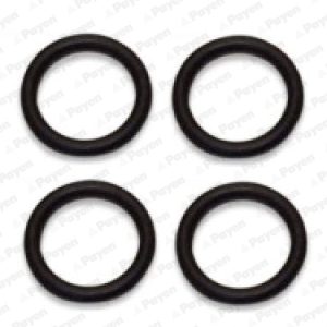 Set garnituri galerie admisie PAYEN HA5029 – CITROEN | AutoRival